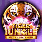 Golden Dragon Fortune Slot