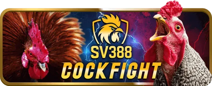 Ra Mắt Các Tính Năng Cá Cược Thể Thao Độc Đáo mg188 game